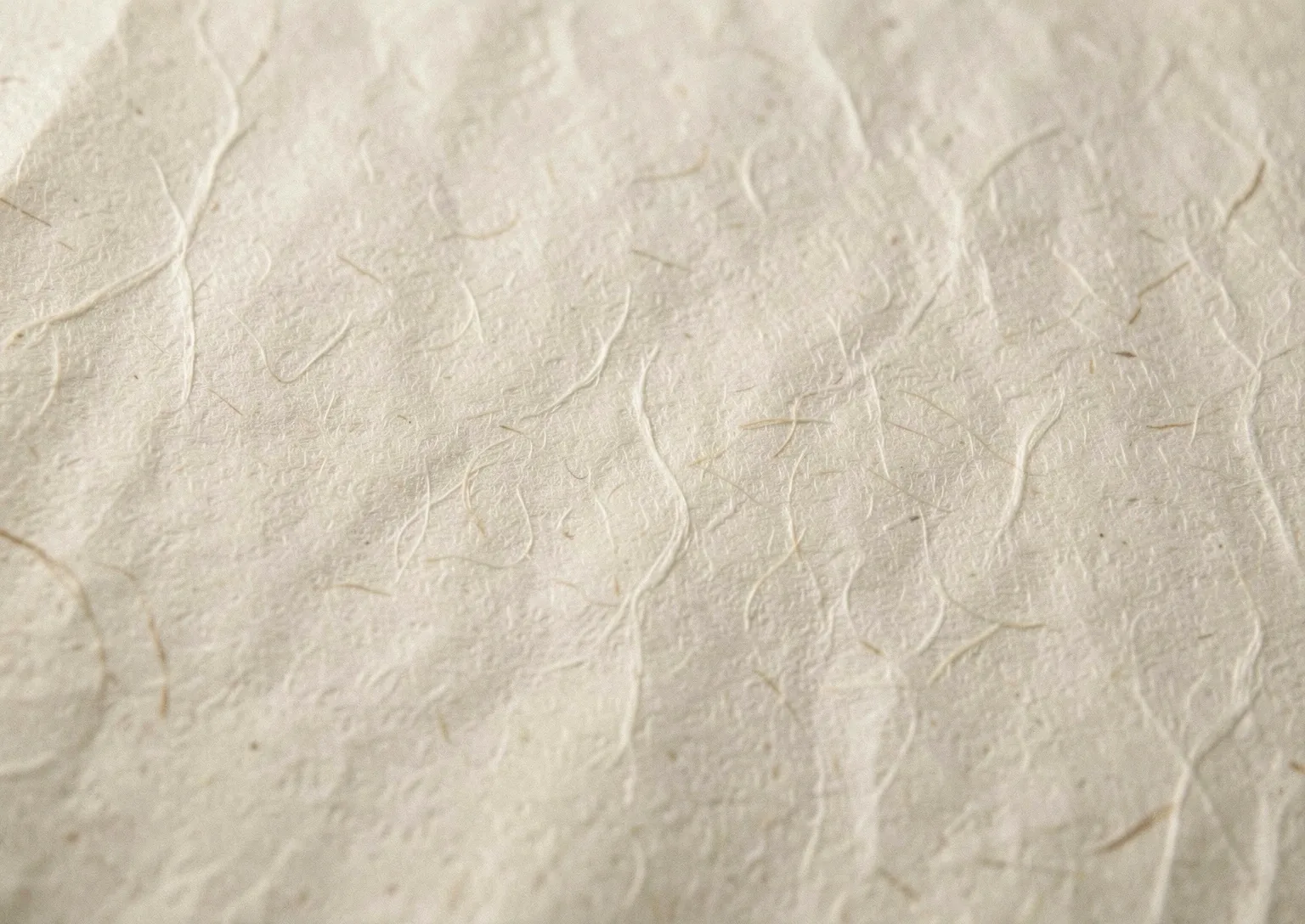 Texture background of paper